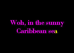 VVoh, in the sunny

Caribbean sea