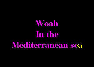 W oah
In the

Mediterranean sea