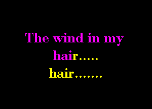 The Wind in my

hairOOOOO
haiIOOOOOOO