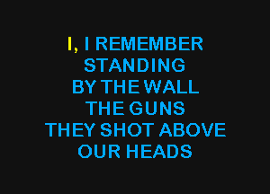 LIREMEMBER
STANDING
BY TH E WALL

THE GUNS
TH EY SHOT ABOVE
OUR HEADS