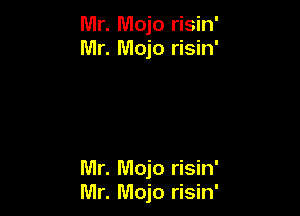 Mr. Mojo risin
Mr. Mojo risin

Mr. Mojo risin'
Mr. Mojo risin'