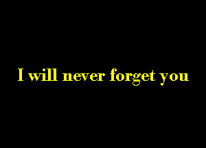 I will never forget you