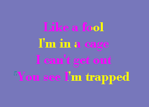 Like a fool
I'm in a cage
I can't get out

5You see I'm trapped