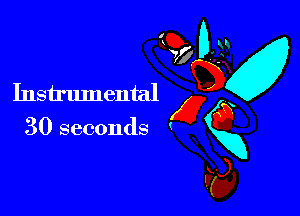 Instrumental

30 seconds (