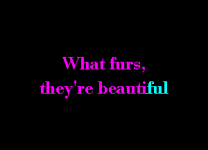 What furs,

they're beautiful