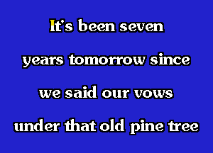 It's been seven
years tomorrow since
we said our vows

under that old pine tree