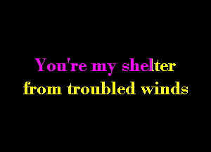 You're my shelter
from troubled Winds