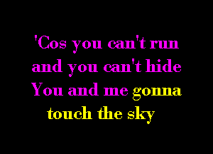 'Cos you can't run
and you can't hide
You and me gonna

touch the sky

g