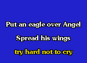 Put an eagle over Angel

Spread his wings

try hard not to cry