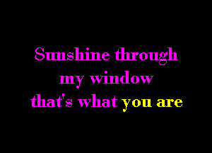 Sunshine through
my window
that's what you are