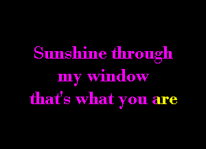 Sunshine through
my window
that's what you are