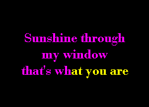 Sunshine through
my window
that's what you are