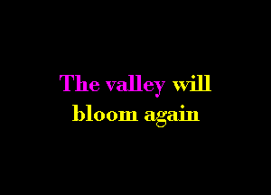 The valley will

bloom again