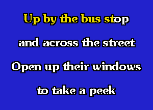 Up by the bus stop
and across the street
Open up their windows

to take a peek