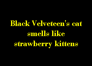 Black Velveteen's cat
smells like
Sirawberry kittens