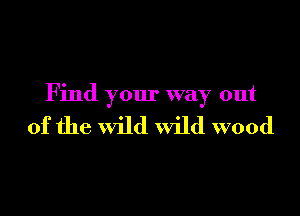 Find your way out

of the wild Wild wood
