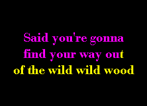 Said you're gonna
13nd your way out
of the wild wild wood