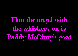 That the angel With

the Whiskers 011 is

Paddy McCinty's goat