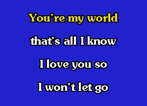 You're my world

that's all I know

I love you so

I won't let go