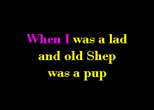 When I was a lad

and old Shep

was a P111)