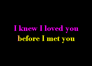 I knew I loved you

before I met you