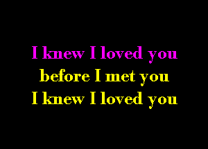 I knew I loved you
before I met you

I knew I loved you