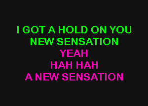 I GOT A HOLD ON YOU
NEW SENSATION