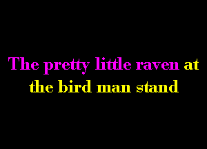 The pretty little raven at
the bird man stand