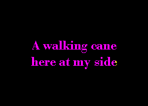 A walking cane

here at my side
