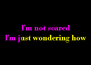 I'm not scared
I'm just wondering how