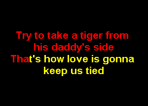 Try to take a tiger from
his daddy's side

That's how love is gonna
keep us tied