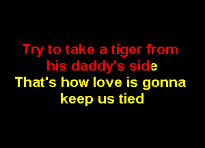 Try to take a tiger from
his daddy's side

That's how love is gonna
keep us tied