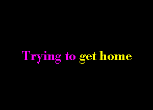 Trying to get home