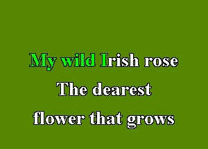 My wild Irish rose

The dearest

flower that grows