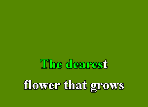 The dearest

flower that grows