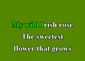 My wild Irish rose

The sweetest

flower that grows