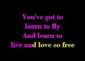 You've got to

learn to fly
And learn to

live and love so free