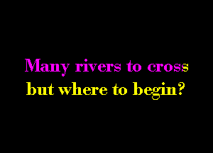 Many rivers to cross

but where to begin?