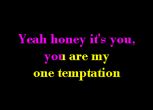 Yeah honey it's you,

you are my
one temptation