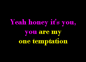 Yeah honey it's you,

you are my
one temptation