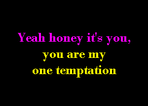 Yeah honey it's you,

you are my
one temptation