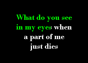 What do you see

in my eyes when
a part of me
just dies