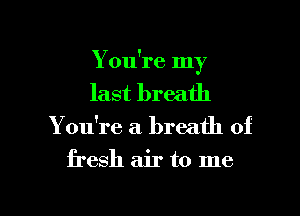 You're my
last breath

Yodre a. breath of

fresh air to me

Q