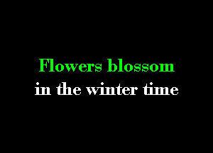 Flowers blossom
in the winter time

Q