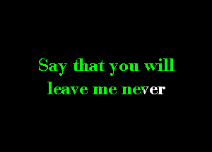 Say that you will

leave me never