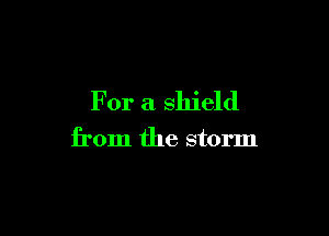 For a shield

from the storm