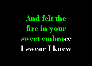 And felt the

fire in your

sweet embrace
I swear I knew