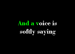 And a voice is

softly saying