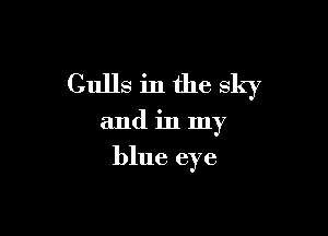 Gulls in the sky

and in my

blue eye