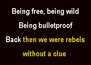 Being free, being wild

Being bulletproof
Back then we were rebels

without a clue